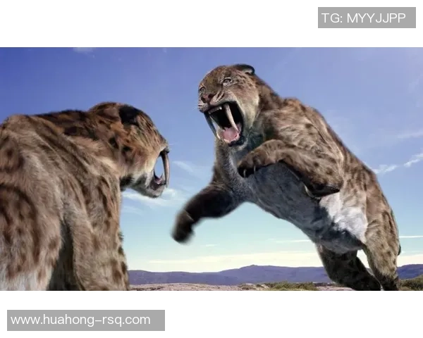 足球场上的猛兽揭秘那些特别凶狠的足球明星与他们的传奇故事 足球场上的猛兽揭秘那些特别凶狠的足球明星与他们的传奇故事